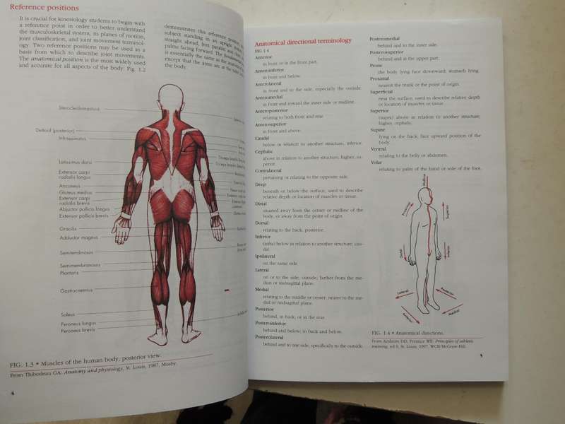 Manual Of Structural Kinesiology - R.T. Floyd & Clem W. Thompson  (Thirteenth Edition)