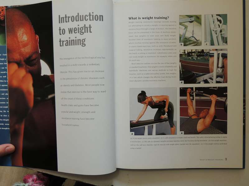 The Weight Training Handbook - Wayne Viljoen