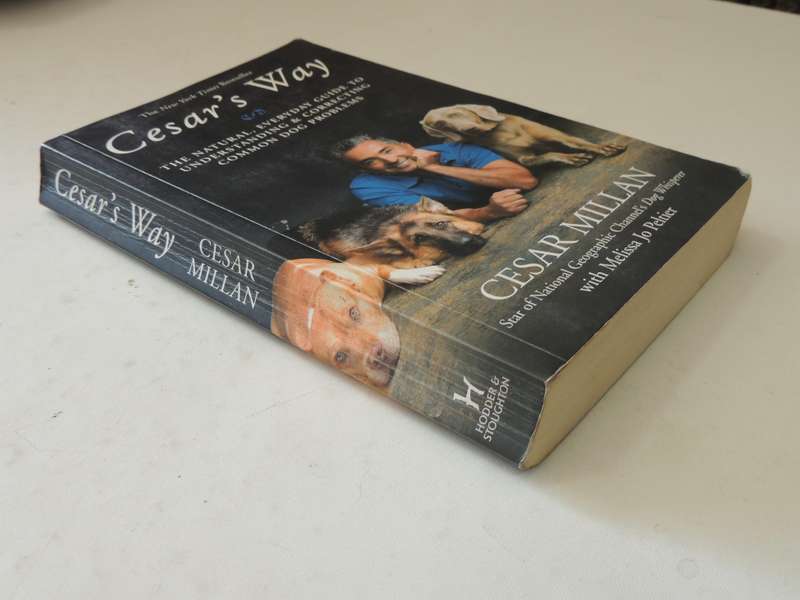 Cesar's Way ..Natural, Everyday Guide To Understanding & Correcting Common Dog ProblemsCesar Millan