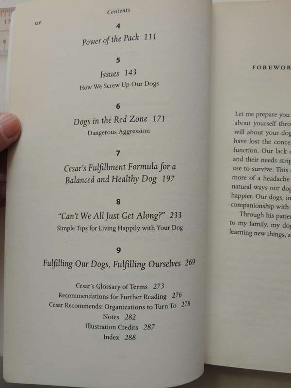 Cesar's Way ..Natural, Everyday Guide To Understanding & Correcting Common Dog ProblemsCesar Millan