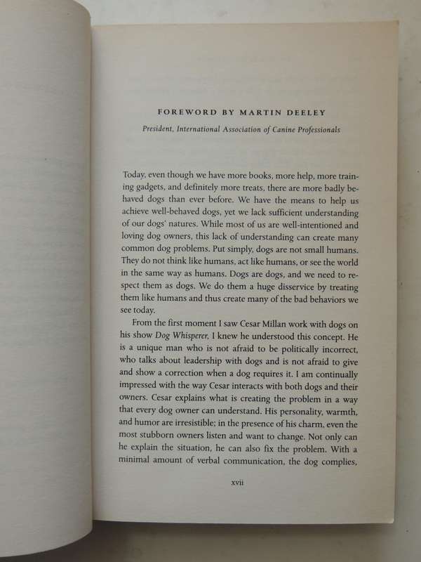 Cesar's Way ..Natural, Everyday Guide To Understanding & Correcting Common Dog ProblemsCesar Millan