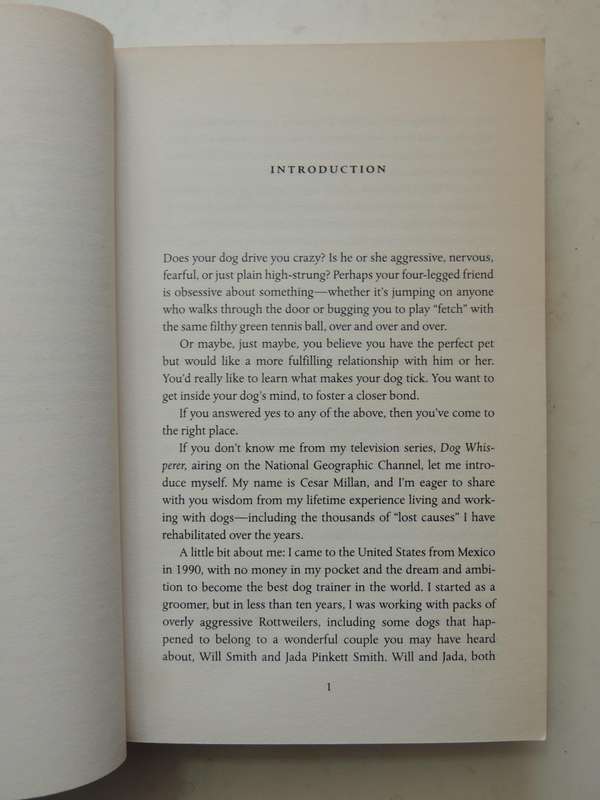 Cesar's Way ..Natural, Everyday Guide To Understanding & Correcting Common Dog ProblemsCesar Millan