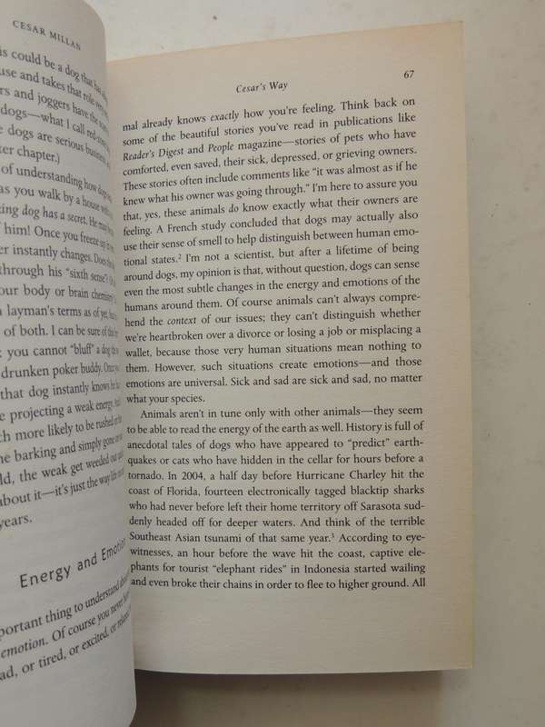 Cesar's Way ..Natural, Everyday Guide To Understanding & Correcting Common Dog ProblemsCesar Millan