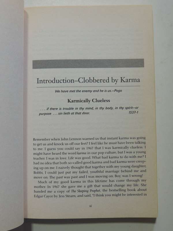 Past Lives & Present Karma - Ann Jaffin