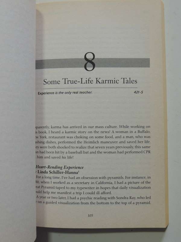Past Lives & Present Karma - Ann Jaffin