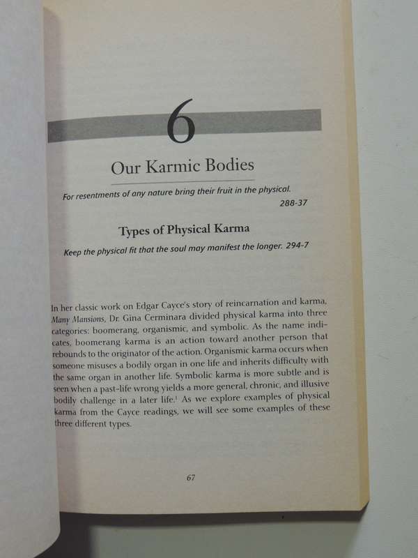 Past Lives & Present Karma - Ann Jaffin