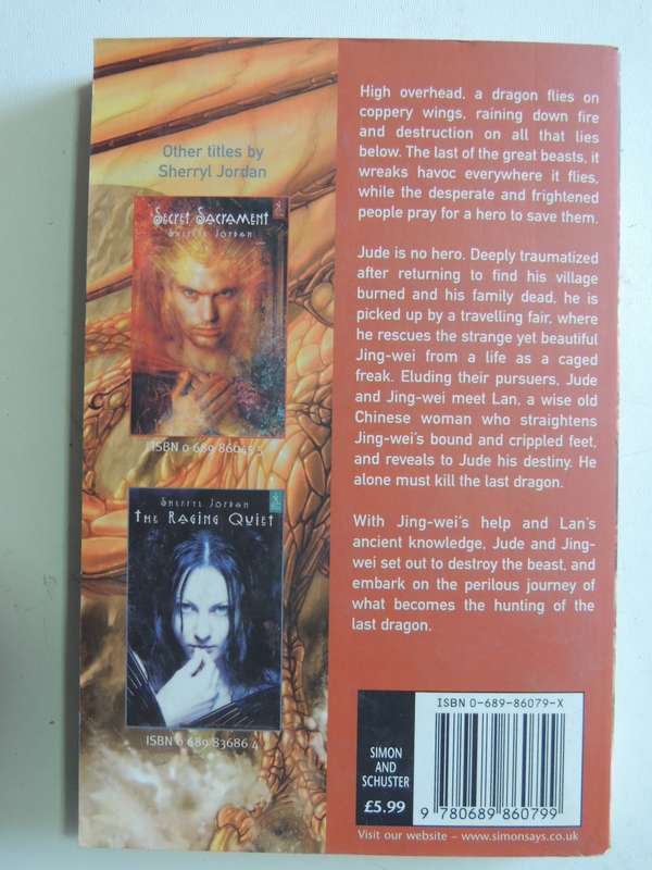 The Hunting of the Last Dragon - Sherryl Jordan
