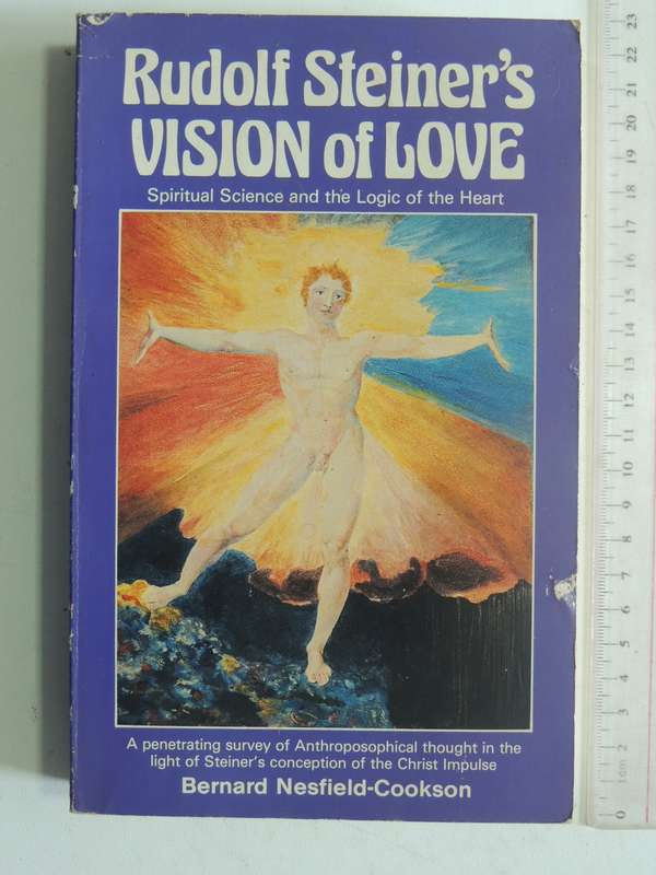 Rudolf Steiner's Vision Of Love: Spiritual Science And The Logic Of The Heart Bernard Nesfield-Cooks