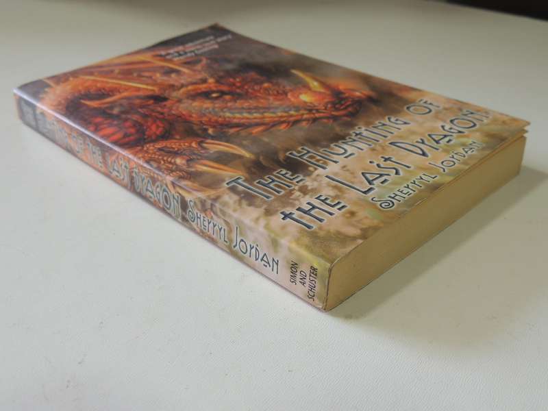 The Hunting of the Last Dragon - Sherryl Jordan