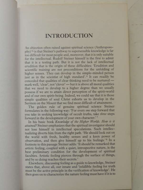 Rudolf Steiner's Vision Of Love: Spiritual Science And The Logic Of The Heart Bernard Nesfield-Cooks