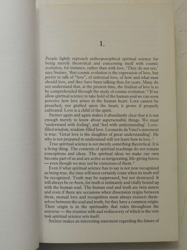 Rudolf Steiner's Vision Of Love: Spiritual Science And The Logic Of The Heart Bernard Nesfield-Cooks