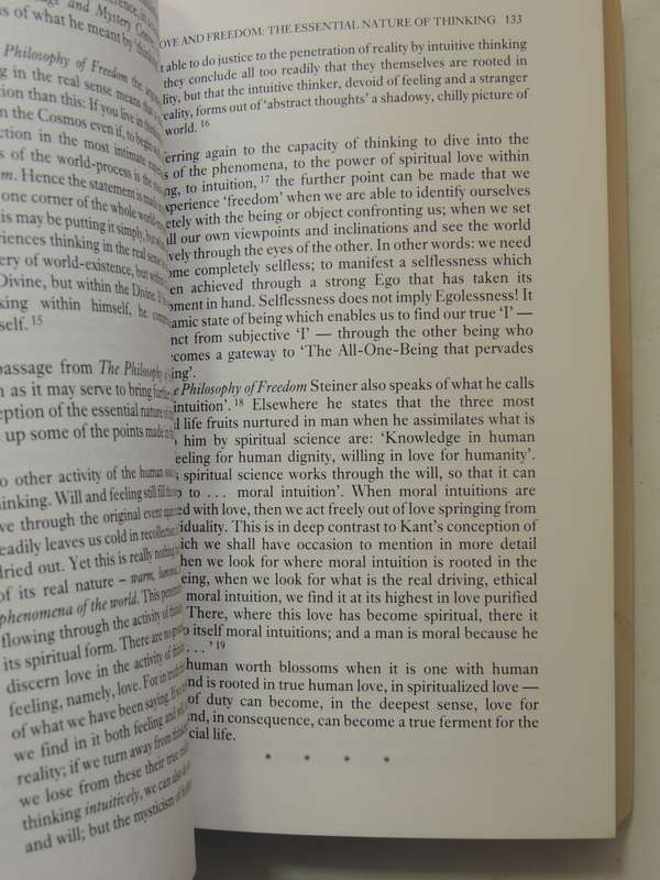 Rudolf Steiner's Vision Of Love: Spiritual Science And The Logic Of The Heart Bernard Nesfield-Cooks