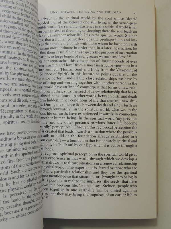 Rudolf Steiner's Vision Of Love: Spiritual Science And The Logic Of The Heart Bernard Nesfield-Cooks