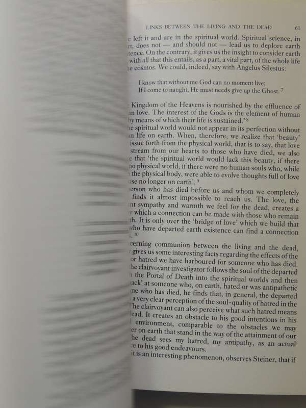 Rudolf Steiner's Vision Of Love: Spiritual Science And The Logic Of The Heart Bernard Nesfield-Cooks