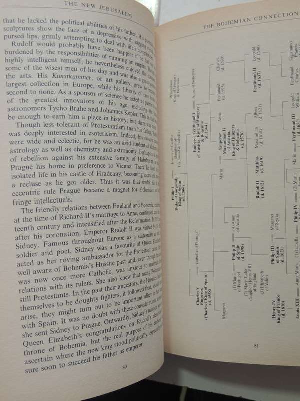 The New Jerusalem: Rebuilding London: Great Fire, Christopher Wren &The Royal SocietyAdrian Gilbert