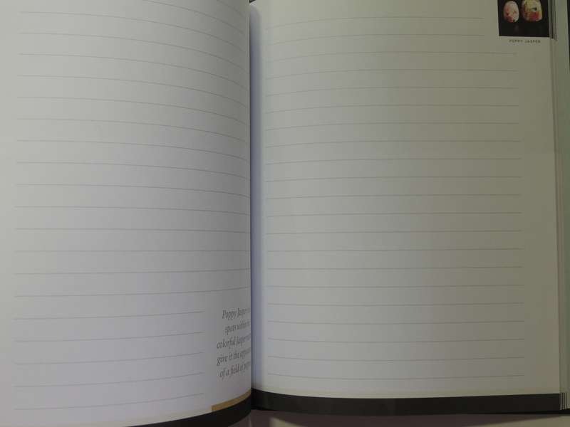 Power Crystals Journal: Guided Journal To Magical Crystals, Gems And Stones For Healing..- Judy Hall