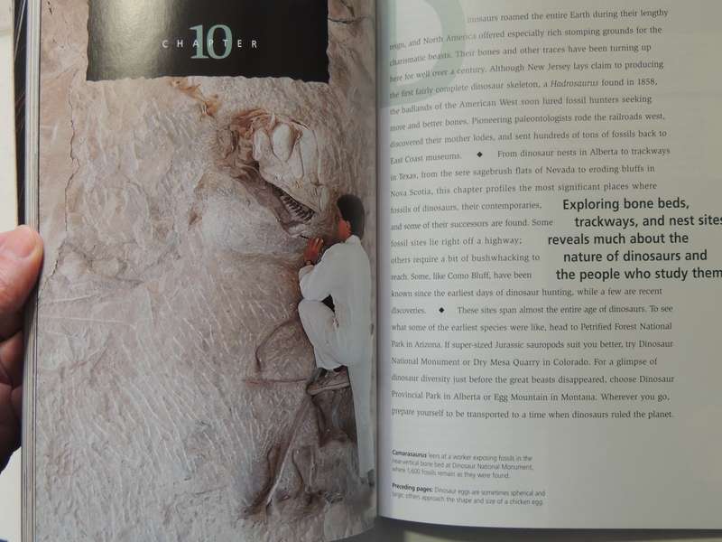 Discovery Travel Adventures: Dinosaur Digs- ed Blake Edgar