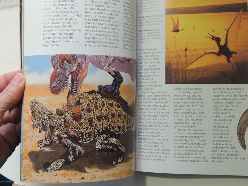 Discovery Travel Adventures: Dinosaur Digs- ed Blake Edgar