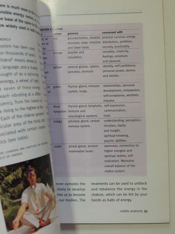 Healing Hands: A Concise Guide To The Therapeutic Power Of Touch - Raje Airey