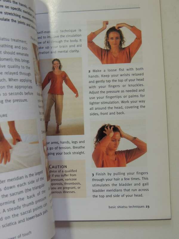 Healing Hands: A Concise Guide To The Therapeutic Power Of Touch - Raje Airey