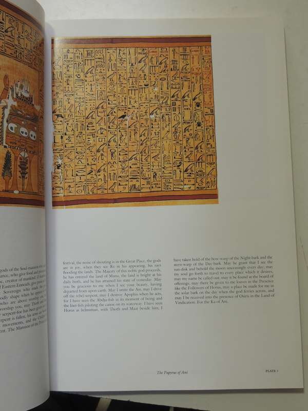 The Egyptian Book of the Dead, The Book of Going Forth by Day - Transl by Raymond Faulkner