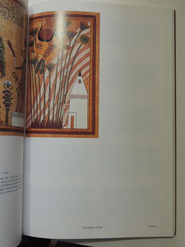 The Egyptian Book of the Dead, The Book of Going Forth by Day - Transl by Raymond Faulkner