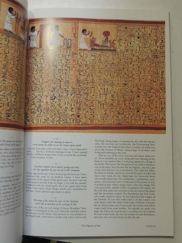 The Egyptian Book of the Dead, The Book of Going Forth by Day - Transl by Raymond Faulkner