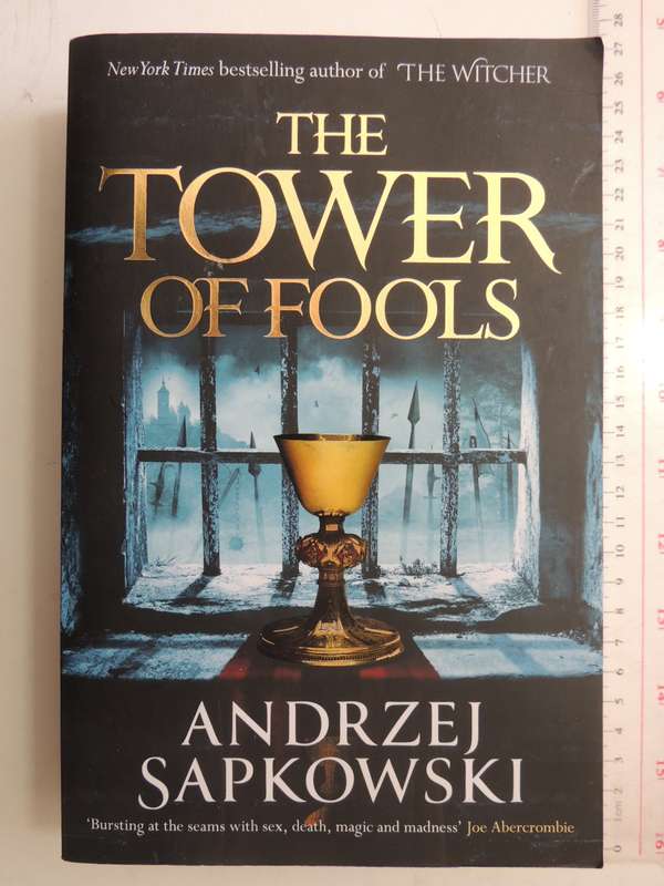 The Tower of Fools - Andrzej Sapkowski