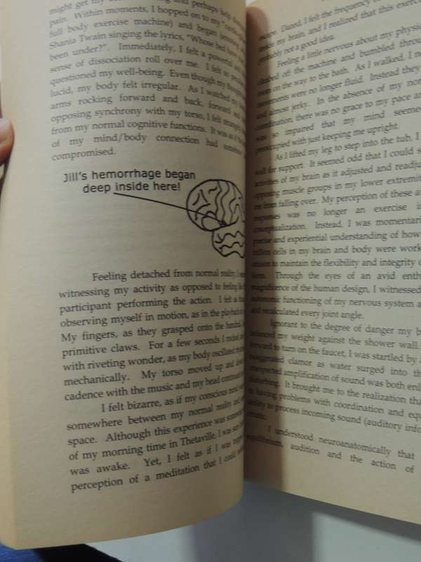 My Stroke Of Insight: A Brain Scientist's Personal Journey - Jill Bolte taylor