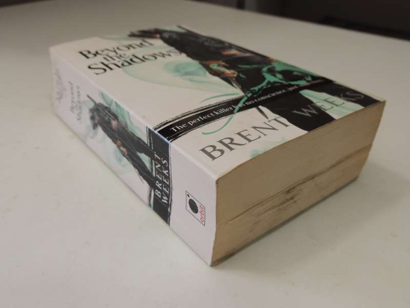 Beyond the Shadows, The Night Angel Trilogy Book 3 - Brent Weeks