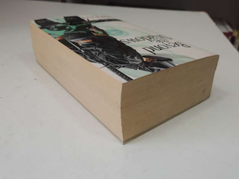 Beyond the Shadows, The Night Angel Trilogy Book 3 - Brent Weeks