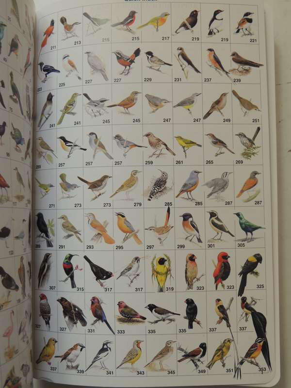 Roberts Bird Guide  - Hugh Chittenden    Reprinted 2009