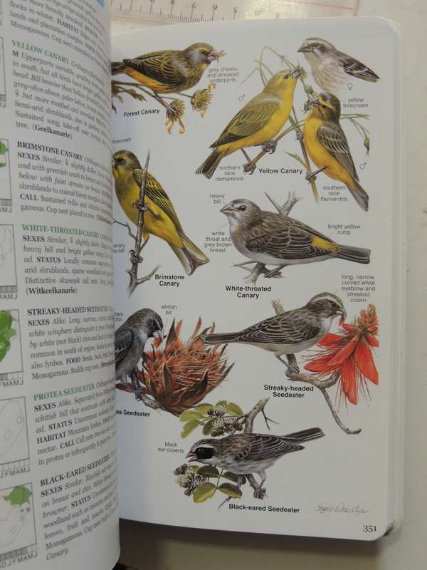 Roberts Bird Guide  - Hugh Chittenden    Reprinted 2009