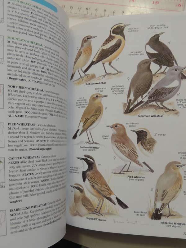 Roberts Bird Guide  - Hugh Chittenden    Reprinted 2009