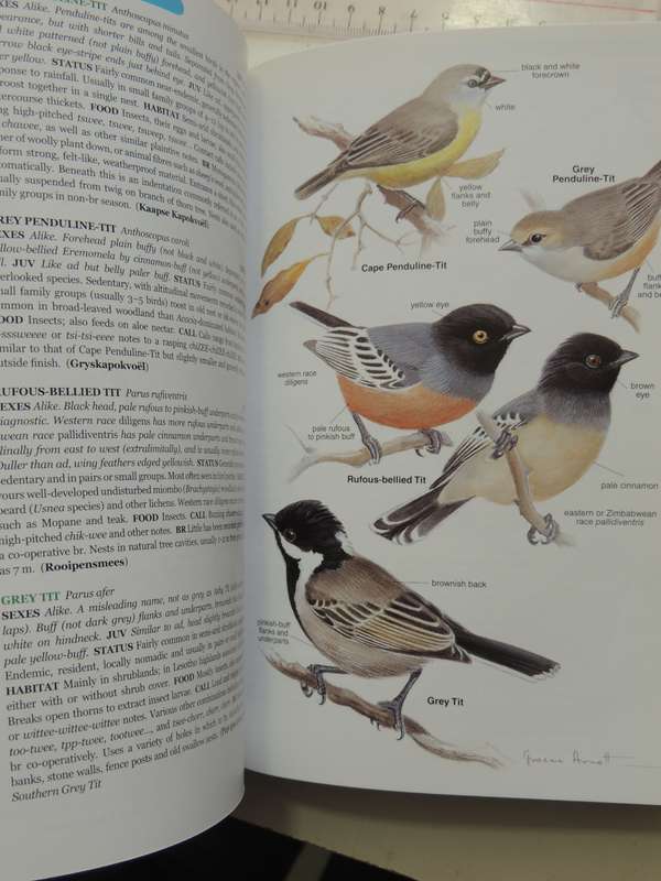 Roberts Bird Guide  - Hugh Chittenden    Reprinted 2009