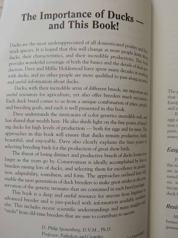 Storey's Guide to Raising Ducks, Breeds, Care, Health - Dave Holderread
