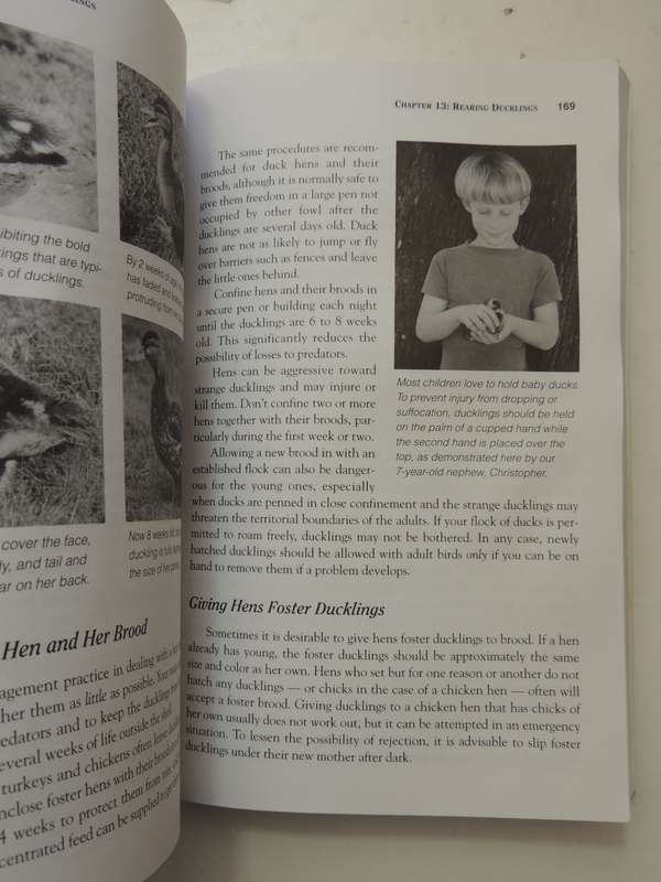 Storey's Guide to Raising Ducks, Breeds, Care, Health - Dave Holderread