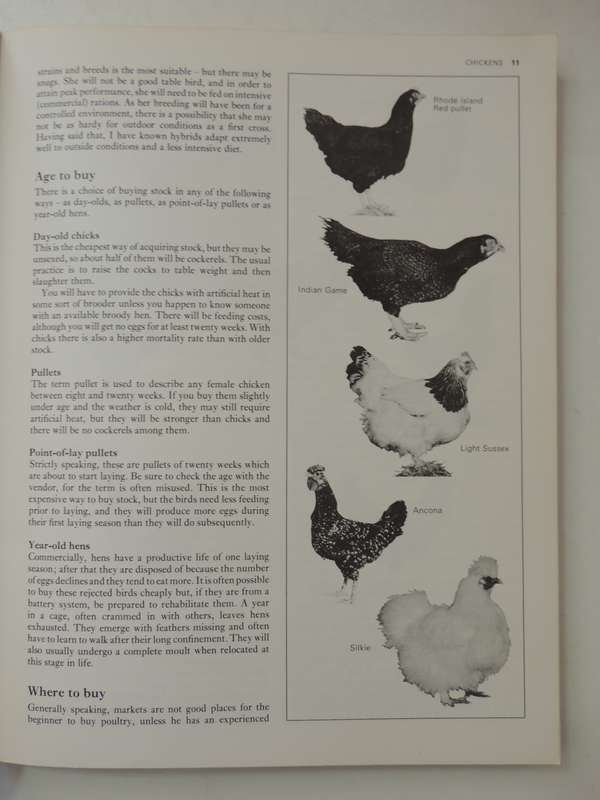 The Complete Book of Raising Livestock & Poultry, A Smallholder's Guide -  Katie Thear, Dr Alaistair