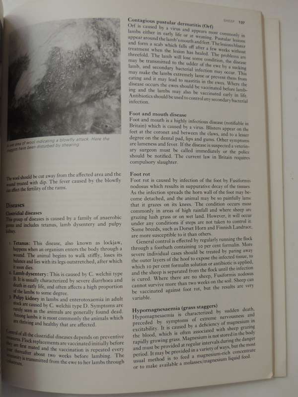 The Complete Book of Raising Livestock & Poultry, A Smallholder's Guide -  Katie Thear, Dr Alaistair
