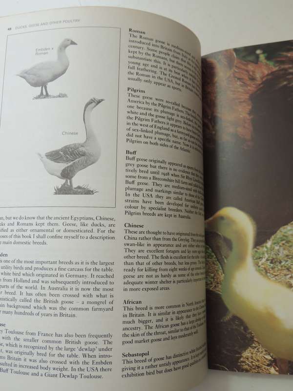 The Complete Book of Raising Livestock & Poultry, A Smallholder's Guide -  Katie Thear, Dr Alaistair