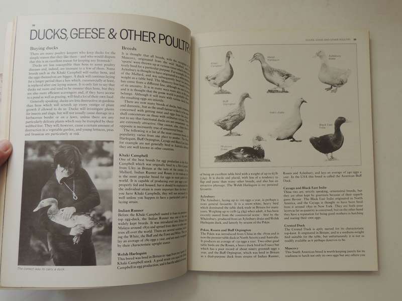 The Complete Book of Raising Livestock & Poultry, A Smallholder's Guide -  Katie Thear, Dr Alaistair