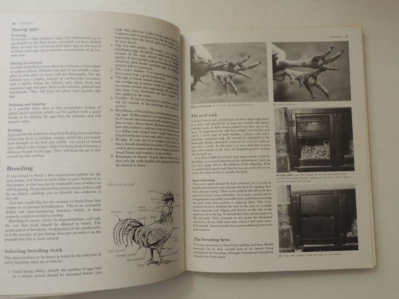 The Complete Book of Raising Livestock & Poultry, A Smallholder's Guide -  Katie Thear, Dr Alaistair