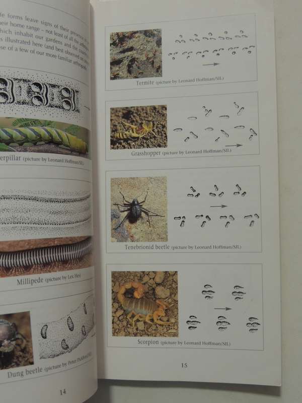 A Photographic Guide To Tracks And Tracking In Southern Africa - Louis Liebenberg