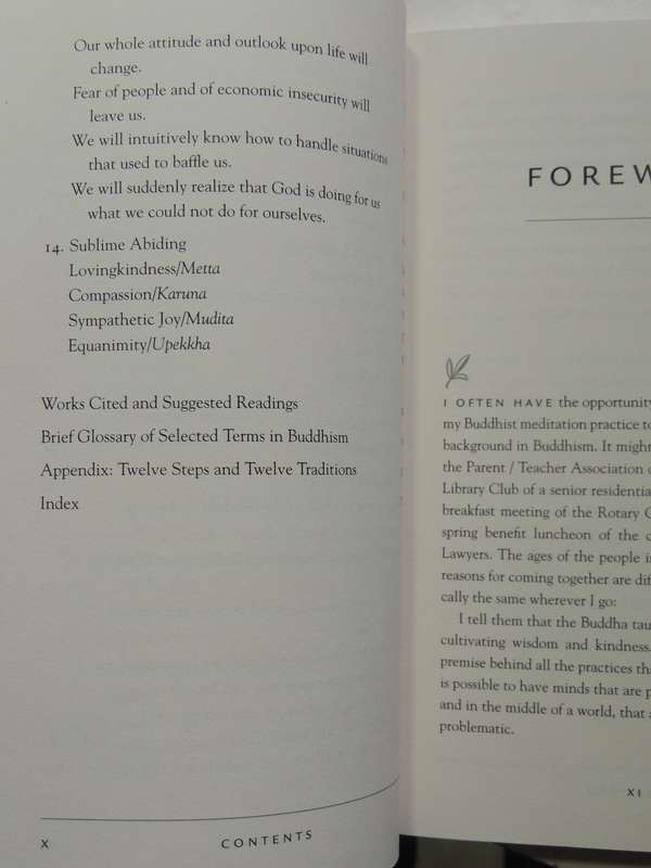 12 Steps On Buddha's Path: Bill, Buddha, And We - Laura S.