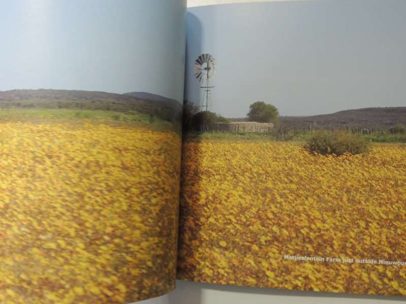 The Climax Collection: The Secret Life Of Windmills - Max And Sue Hoppe