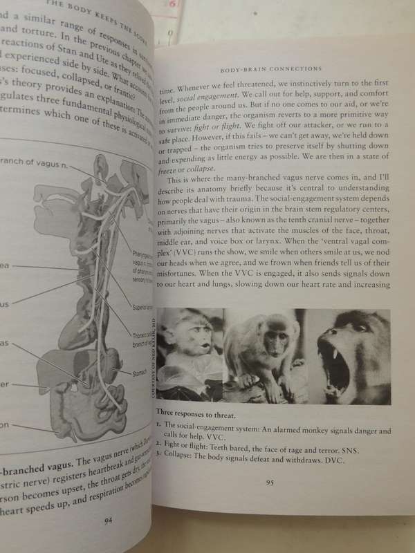 The Body Keeps the Score, Mind, Brain & Body in the Transformation of Trauma - Bessel van der Kolk