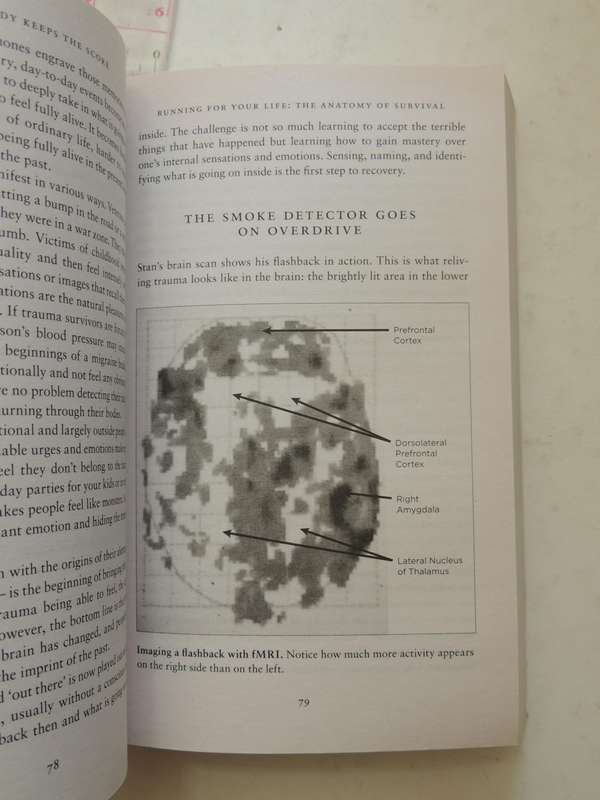 The Body Keeps the Score, Mind, Brain & Body in the Transformation of Trauma - Bessel van der Kolk