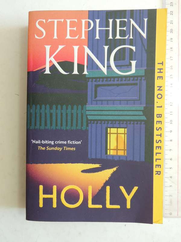 Holly  - Stephen King