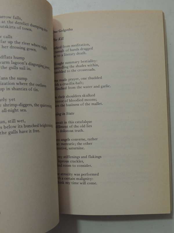 Selected Poems - Douglas Livingstone