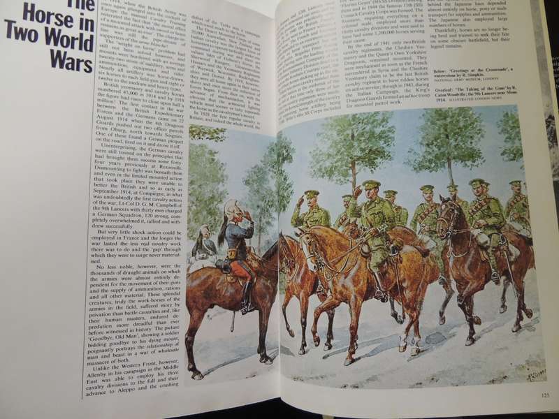 The Horse at War - Ed Michael Seth-Smith
